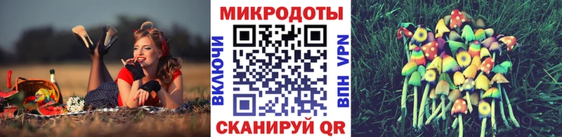 Псилоцибиновые грибы Psilocybe  Мариинск 