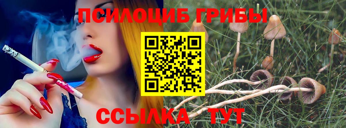 Псилоцибиновые грибы мухоморы Мариинск