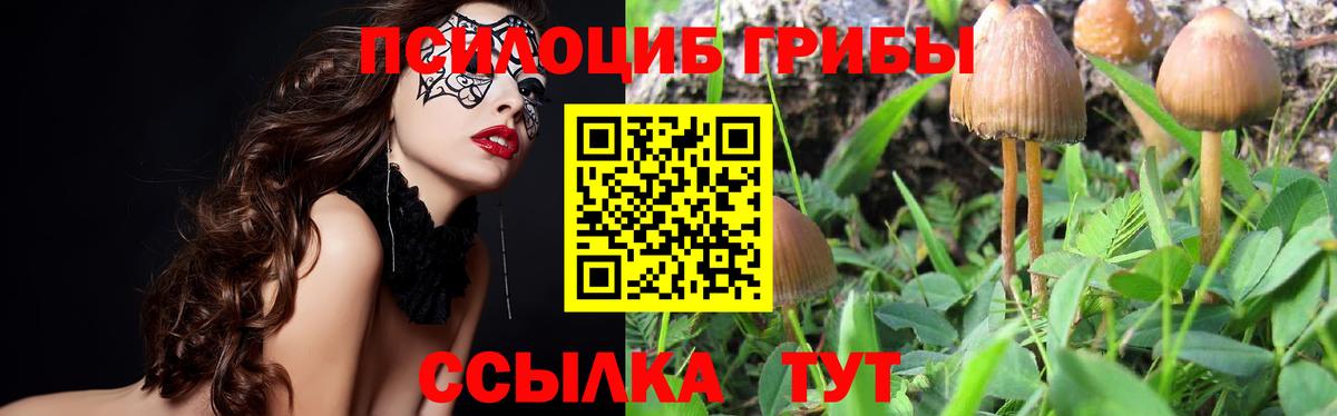 Псилоцибиновые грибы Magic Shrooms  что такое наркотик  Мариинск 